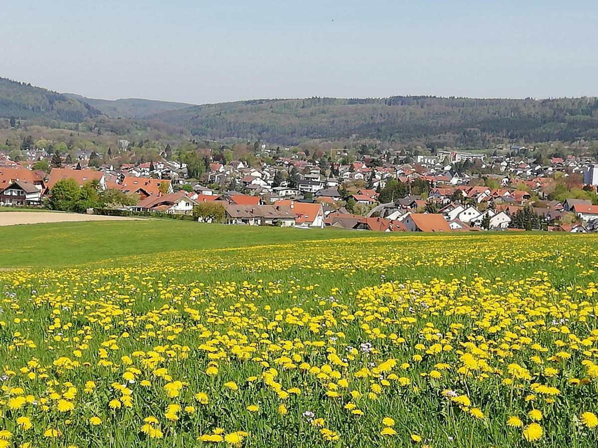 Annettes Ferienwohnung Michelstadt Exterior foto